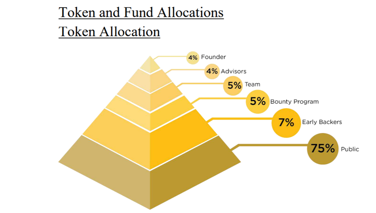 Token Allocation.png