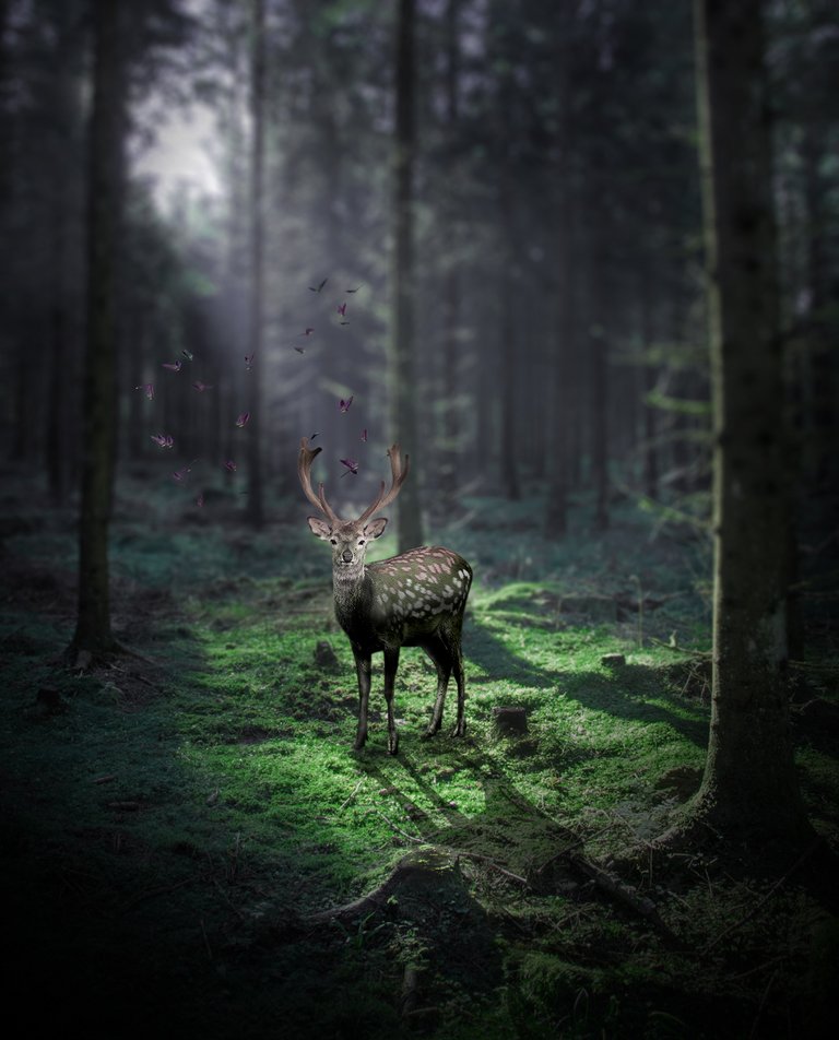 deer photomix.jpg