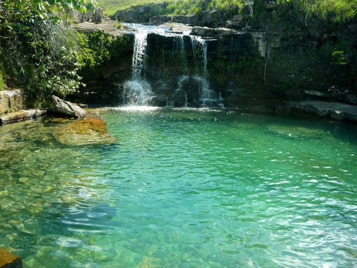 picsinas naturales.jpg