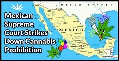 Mexico legalisation October 23 2019 236px.jpg