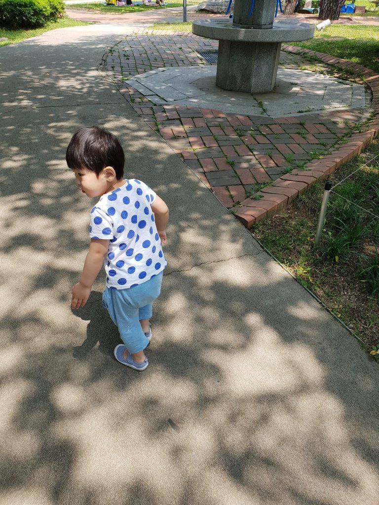20180606_120213.jpg