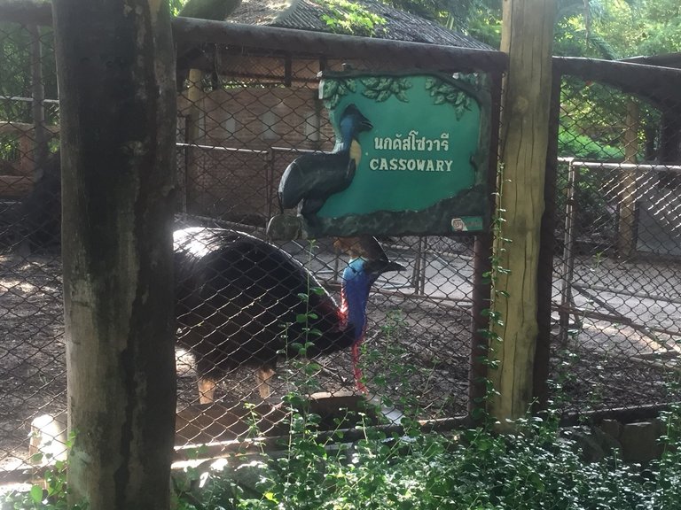 Samutprakarn Crocodile Farm and Zoo9.jpg