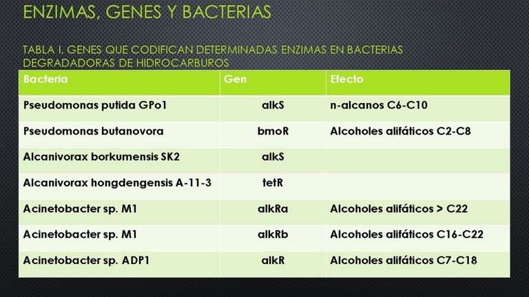 Diapositiva7.JPG