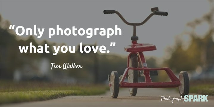 tim-walker-quote-photo-what-you-love.jpg