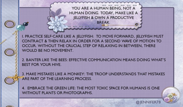 jellyfish copy.jpg