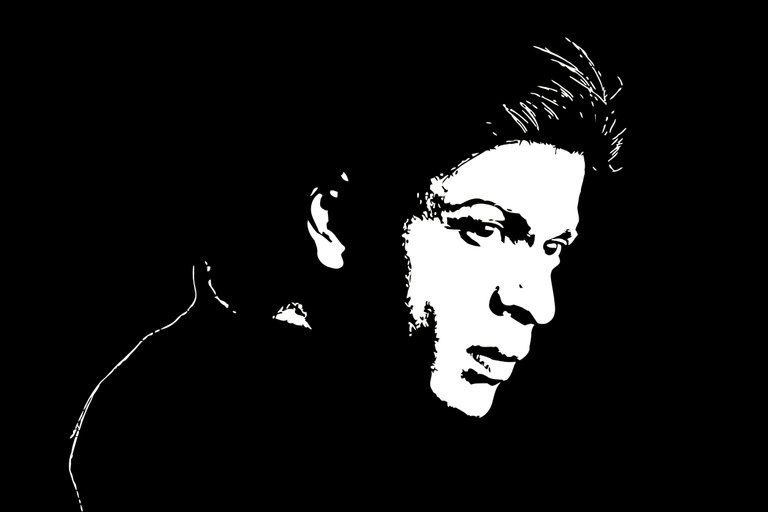 Shah-Rukh-Khan-Photo_vectorized.jpg