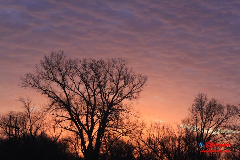 morning dawn sunrise golden-hour skyscape landscape IMG_0416.JPG