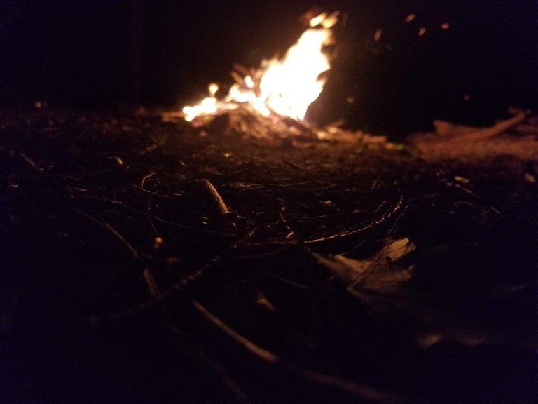 20190517_230315.jpg