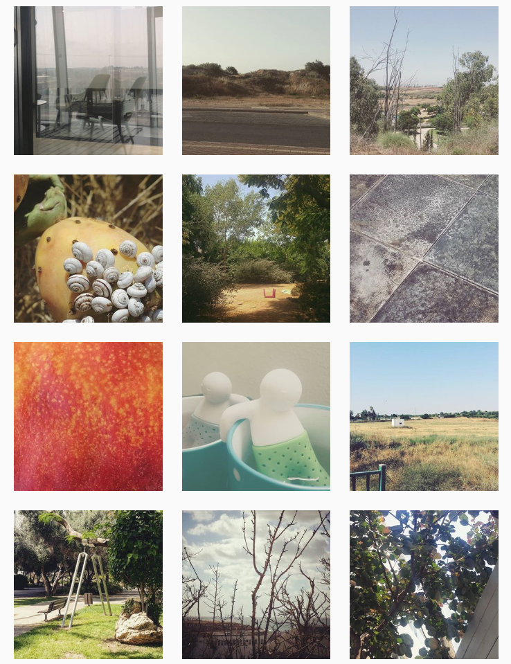 A few photos off my Instagram feed