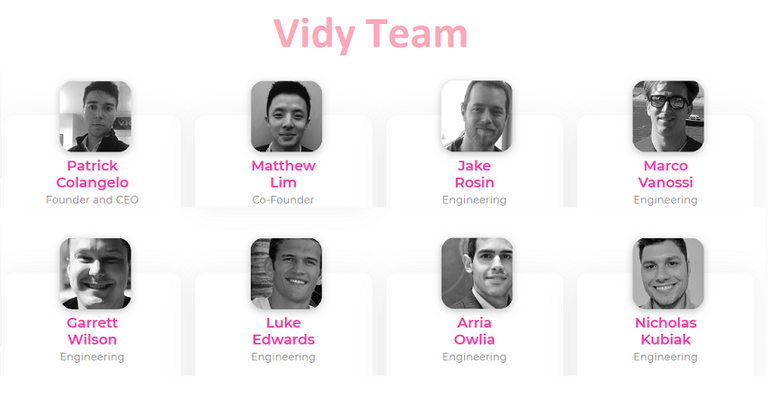 Vidy Team.png