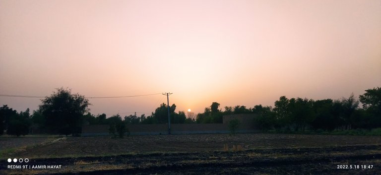 IMG_20220518_184731.jpg