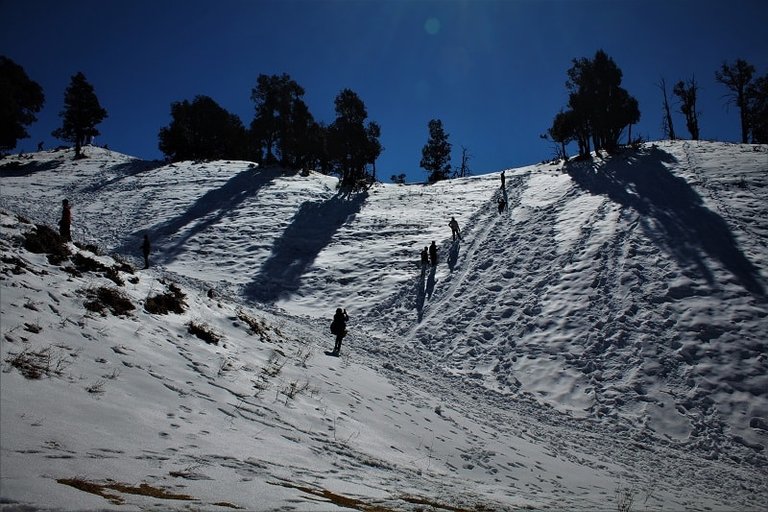 snow-sliding-point-Nag-Tibba-Trek10.jpg