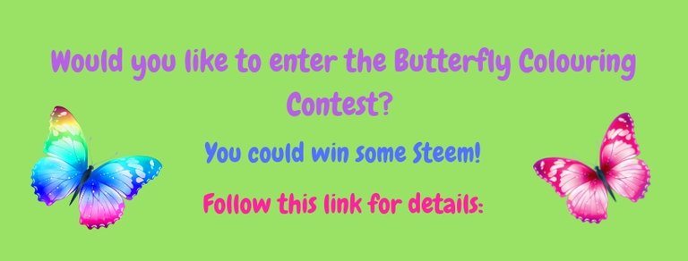 The Butterfly Colouring Contest header.jpg