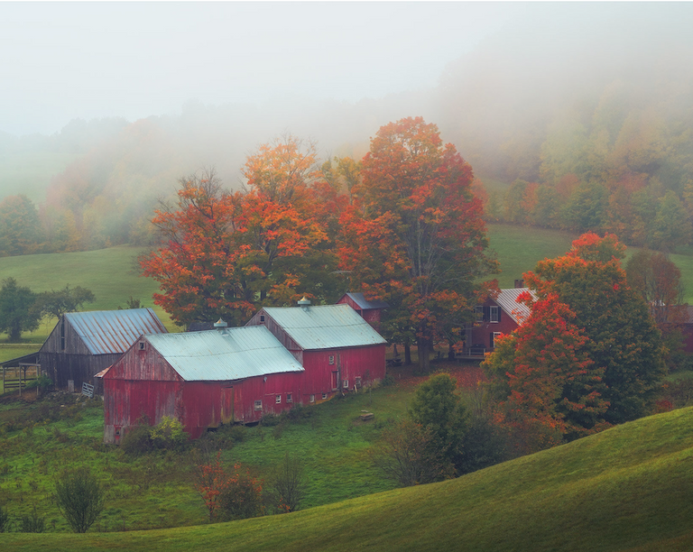 Autumn mists.png