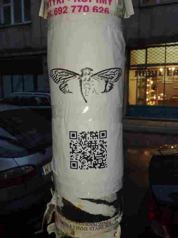 cicada_3301_poster_warsaw_vert-1a39795d77b6a8b2597dd923a87662e001c6692d-s800-c15 (1).jpg