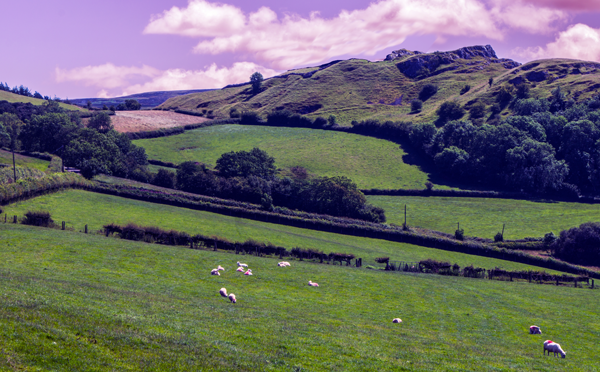 landscape-tree-grass-mountain-cloud-sky-275444-pxhere.png