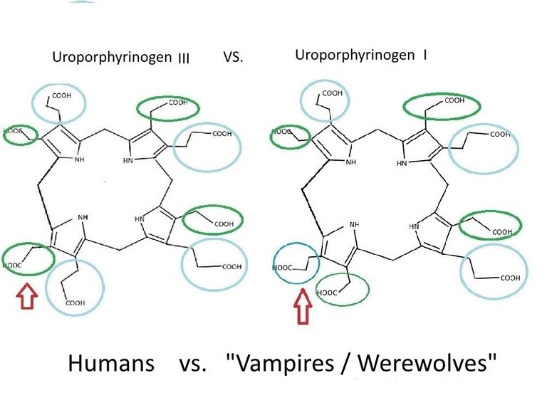 UroporphyrinogenIII_vs_I.jpg