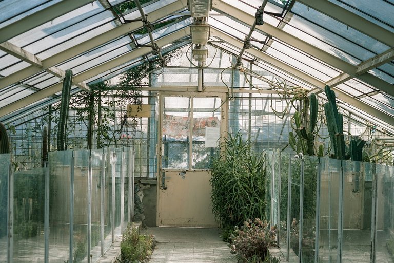 glasshouse-734705_1280.jpg