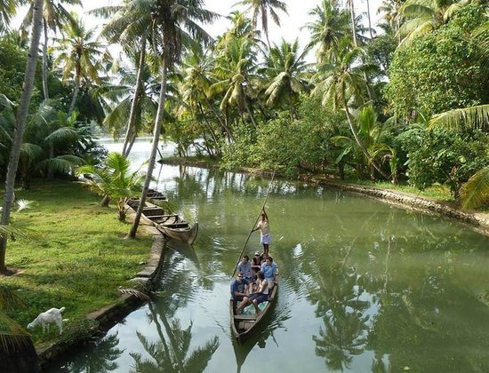 munroe-island-canoe-tours.jpg