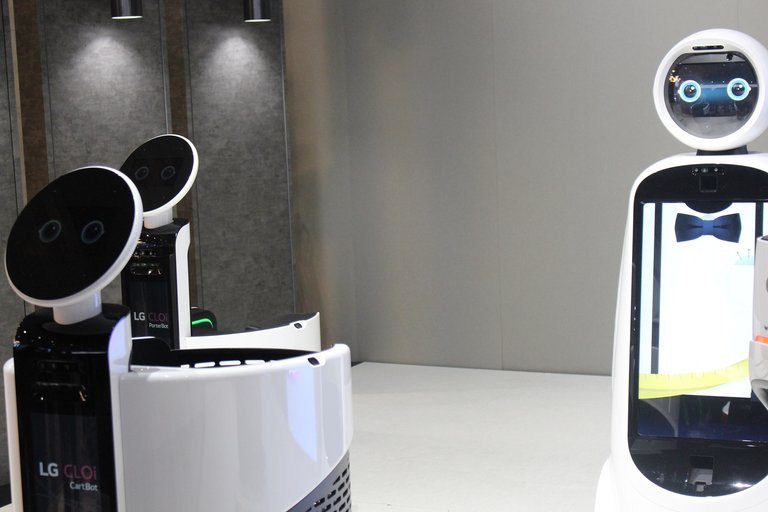 LG Robot Butler.jpg