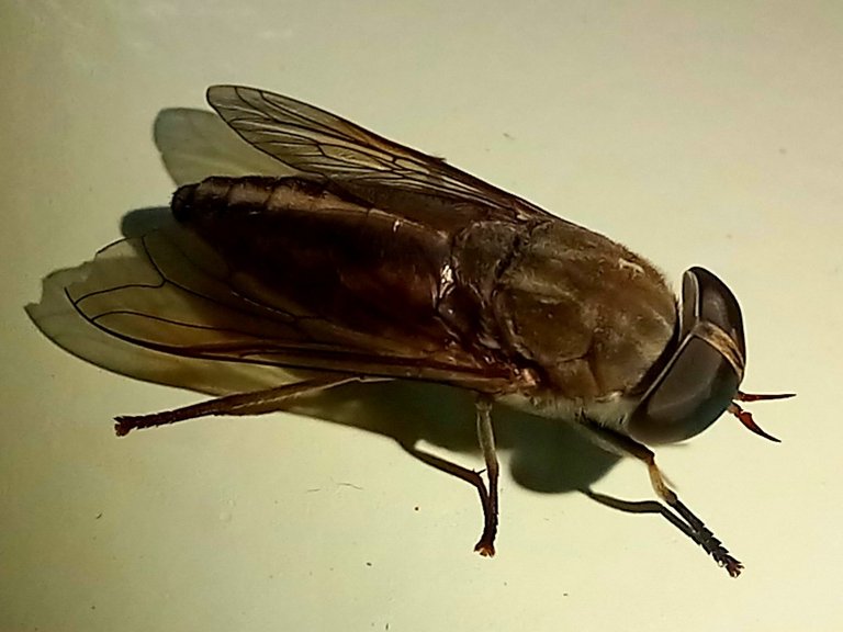 20241017_152820.jpg