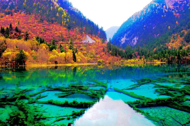 Jiuzhaigou-Sichaun-zharu-valley-1038x690.jpg