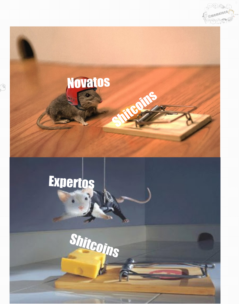 mouse.png