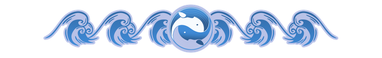whaleshare_divider.png