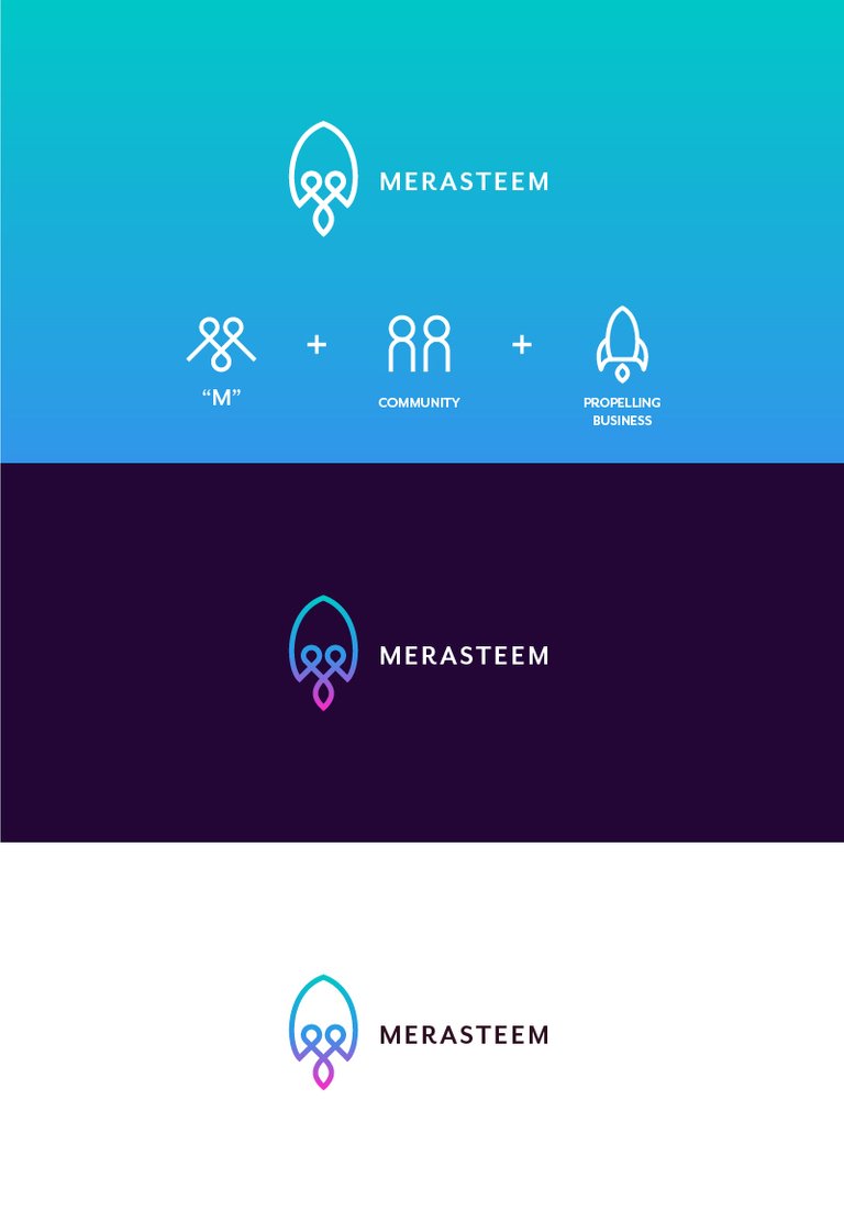 merasteem_logo_01.jpg