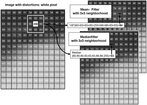 local-operators-for-eliminating-distortion.jpg