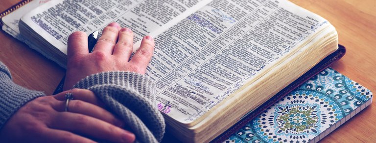 daily-bible-header.jpg