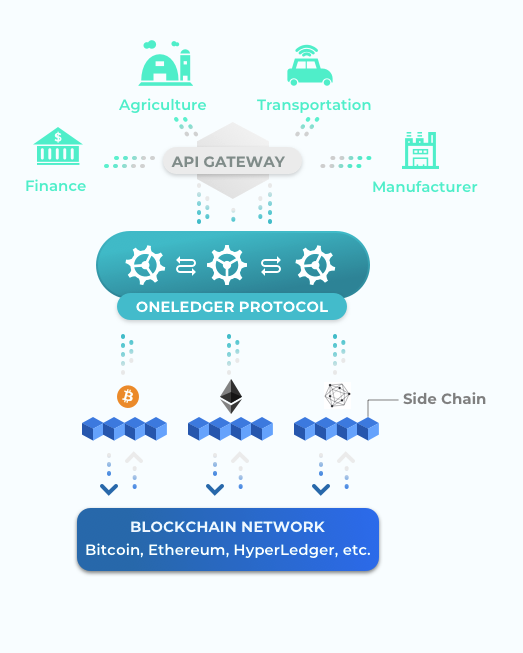 OneLedger Network.PNG