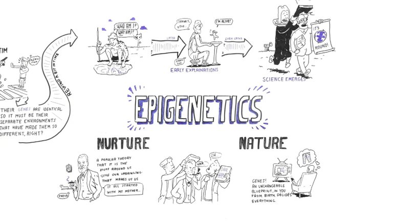 epigenetics general psychology summary steemit annegreat bangkok university.jpg