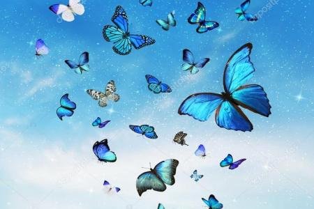 depositphotos_57322135-stock-photo-blue-butterflies-flock.jpg