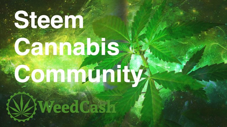 weedcash abcd.jpg