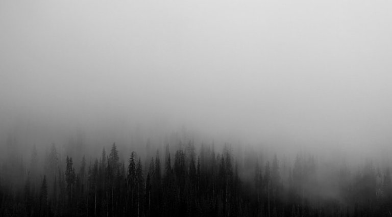 photo-1444837881208-4d46d5c1f127.jpeg