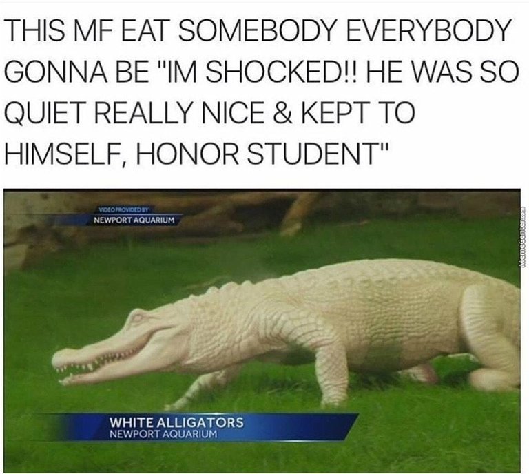 white alligators.jpg
