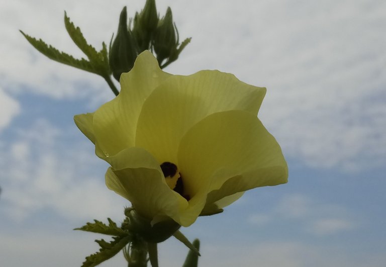 20201003_193456.jpg