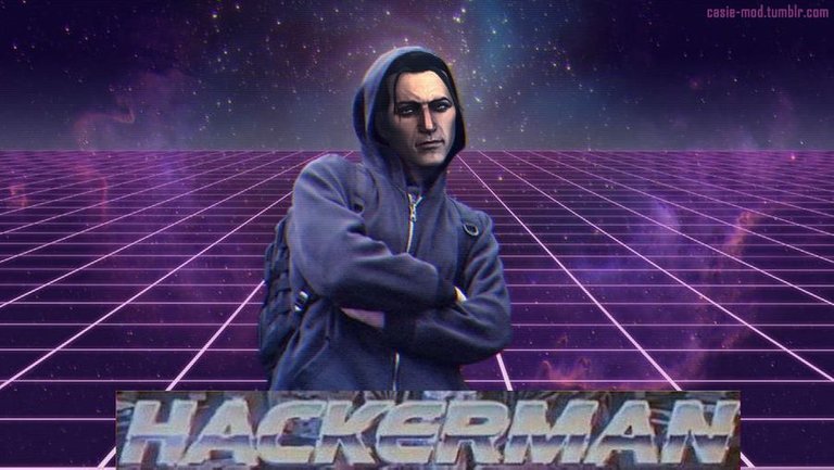 hackerman_by_casie_mod_dbt1z0n-fullview.jpg