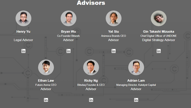 collectrix advisor.PNG