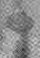 fawn grey scale detail.jpg