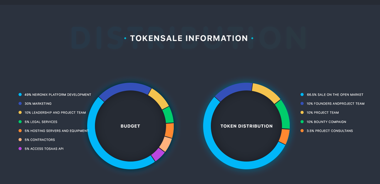 Neironix Token Info.png