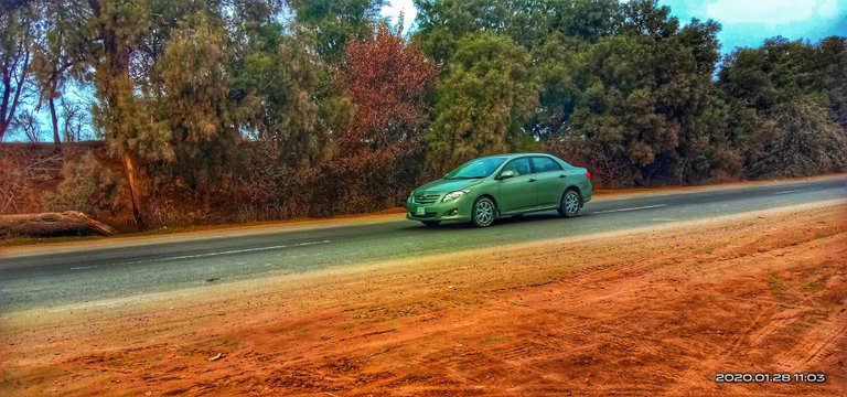 IMG_20200128_110326-01.jpeg