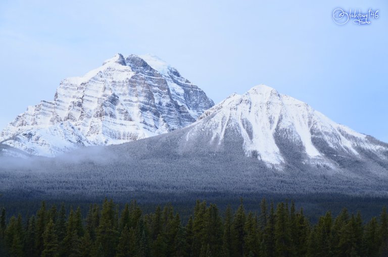 bow valley parkway4.jpg