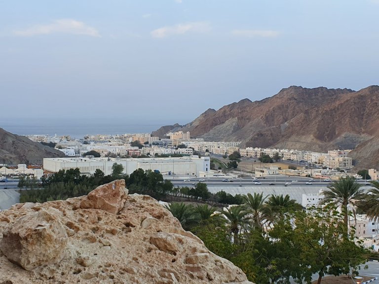 view muscat 2.jpg