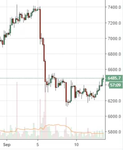 zupdate-m-btcusd.webp