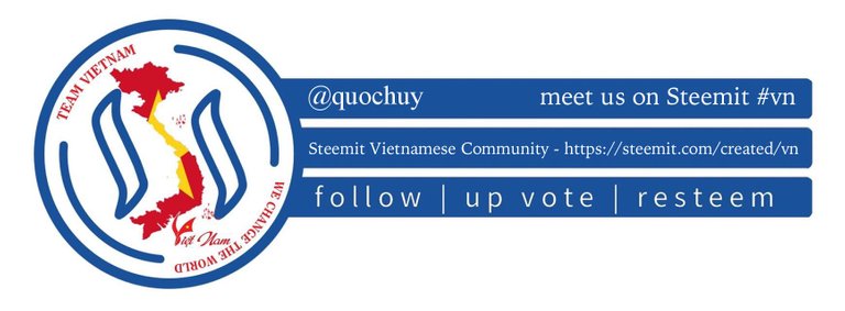 Team Vietnam banner