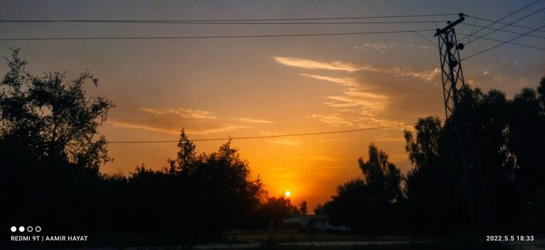 IMG_20220505_183315.jpg
