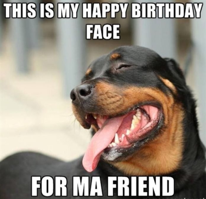 funny-dog-happy-birthday-5.jpg