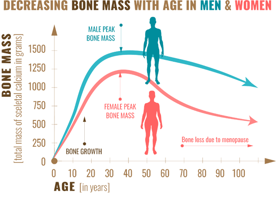 bone-mass-graph.png